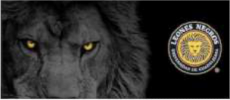 Leones Negros